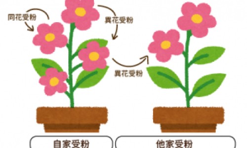 高清偏光和太阳镜的区别是什么-高清偏光和太阳镜的区别网 | 高清偏光和太阳镜的区别是什么,高清偏光镜片好吗